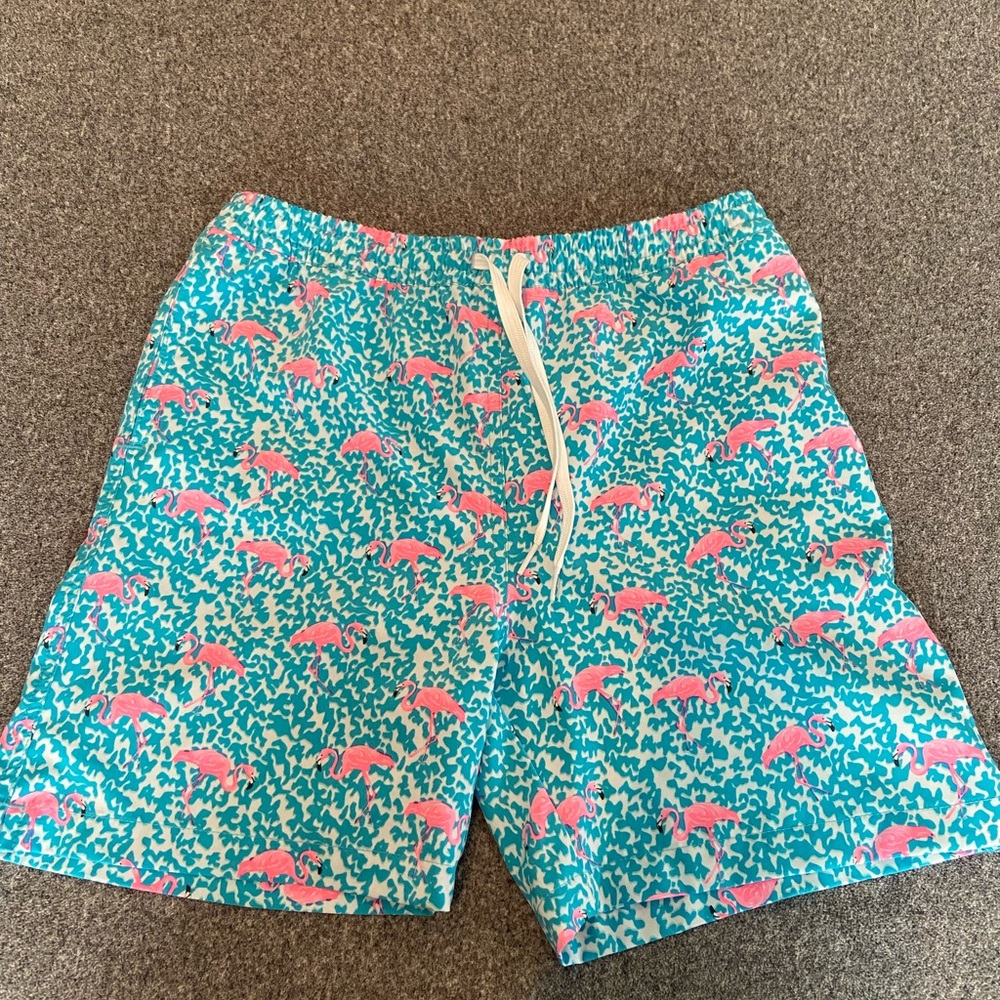 Boys youth chubbies swim suit